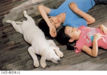 [리뷰]소년과 강아지의 진실한 교감 마음이