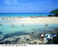 제주토박이가 추천하는 바캉스 즐기기 좋은 제주 해변 5선