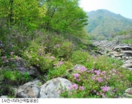 국립공원에서 보내는 아주 특별한 캠핑 여행