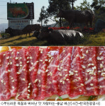 천고마비의 계절, 우리 한우도 먹고 여행도 하고