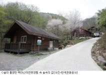 휴양림에 휴식과 충전이 있다