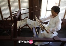 나스페스티벌, 18일 한산모시 체험 및 신성리 갈대밭 답사