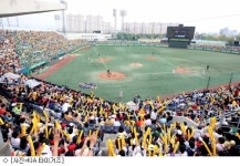 무등구장 주차 달랑 250대, 답답합니다