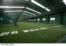 한화 이글스, 실내연습장 인조잔디 교체