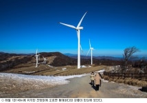 [미리 걷는 평창올림픽①] 대설원에서 올림픽 낭만을 느끼다…삼양목장길