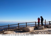 [미리 걷는 평창올림픽①] 대설원에서 올림픽 낭만을 느끼다…삼양목장길