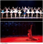 [이거한번볼래?]