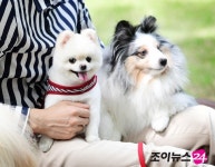 [스타♡펫]서지석, 3色 반려견과 사랑꾼 아빠(인터뷰①)