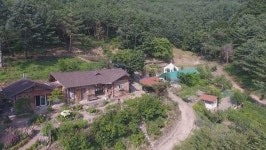 SBS스페셜 도시 남녀 3인의 현실판 리틀 포레스트 도전기