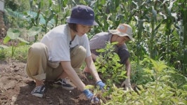 SBS스페셜 도시 남녀 3인의 현실판 리틀 포레스트 도전기