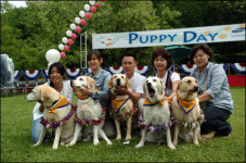 은퇴하는 견공(犬公)