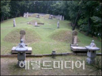 시민에게 뒤늦게 공개되는 서울 방학동 연산군묘