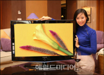 삼성 파브TV 판매 100만대 돌파