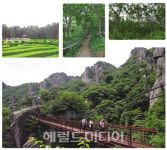비경! 휴양림을 찾아서