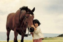 <영화-각설탕>잊고 지냈던 그날의 꿈에게 묻다