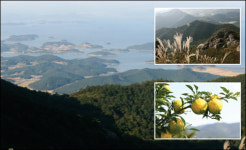 [여행메모]전남고흥