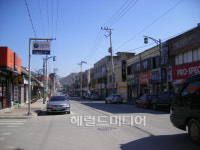 <체험기>순수한 감정을 무한 리필할 수 있는 곳 ‘영월’