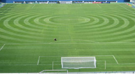 대전월드컵경기장, 축구장이야 호수야?