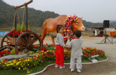 ‘명품 브랜드’ 횡성한우축제 18일부터 닷새동안 개최