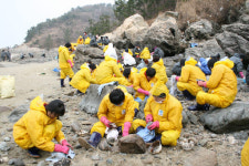 보해양조, 태안 이어 영광에서도 기름 제거 봉사활동