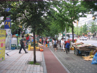 자전거 전용도로요? 그게 뭡니까