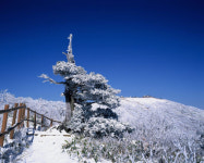 겨울철알뜰여행법①눈을즐기는방법