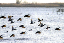 부산경남경마공원 볼거리 8경 선정