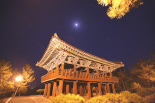 솔숲 지나 정자오르니 달님이 소원 말하라네…경북 울진