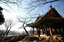 삼척동자도 소원빌러 삼척간다…강원 삼척