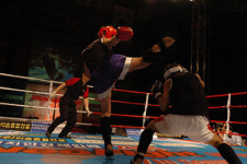 아마추어 격투기대회 ‘챌린저’ 출범한다