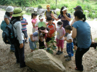 중랑구 “숲속생태탐험 우리 함께해~요”