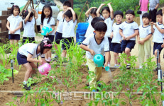 <포토뉴스>채소 직접 키우는 재미 어때요?