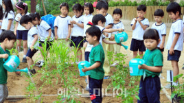 <포토뉴스>채소 직접 키우는 재미 어때요?