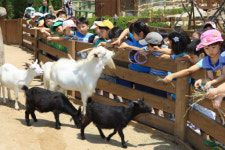 어린이대공원 몰라보게 달라졌네