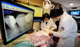 서울광장서 펼치는 나눔진료
