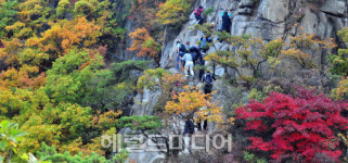 <포토뉴스> 서울의 단풍도 물들어 가네