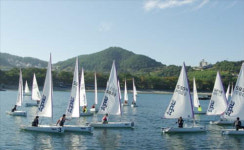 이 가을 보물섬 남해에 가면 사랑과 낭만이 ‘넘~실’