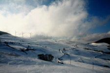 때 만난 白雪의 太白서 겨울축제 즐겨볼까?