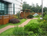 장독대- 헬스장- 생태체험장- 발전소…옥상의 끝없는 변신!