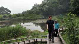 <올레길>오감만족서초 우면산 자연생태공원