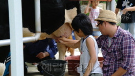 강서구  ‘청계목장’ 체험학습