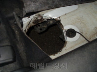 단속 피하려 자동차 개조 청소년 유해전단지 배포