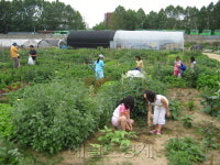 도심서도 농사지을 수 있다? 농업지원센터 송파구서 첫선