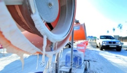 소들이 내 새끼인데, 어떻게...구제역 횡성 농민의 절규