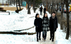 <내마음의 올레길>광화문광장 ‘형님’ 있었네...구로구 거리공원