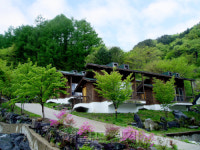 여보! 이번 주말엔 지리산 자연휴향림으로 떠나요