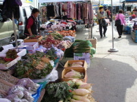 [박인호의 전원별곡]전원명당(2) 홍천 서석 “다슬기 주워볼까...홍천강 상류 청정 1번지”