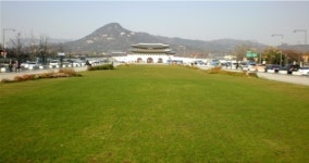 3억5000만원 들여 쌀 5섬을 광화문에 수확하겠다는 종로구청장