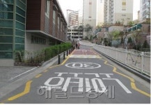 서울시 노인ㆍ어린이보호구역 133곳 확대