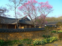 ‘홍어가 전부랴’…국밥-곰탕-배에 염색 체험까지